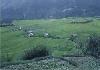 Shingar Regency Manali View